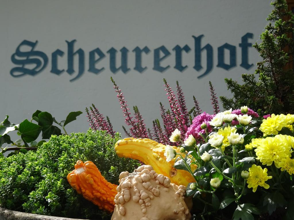Scheurerhof Appartement Tux Kamer foto
